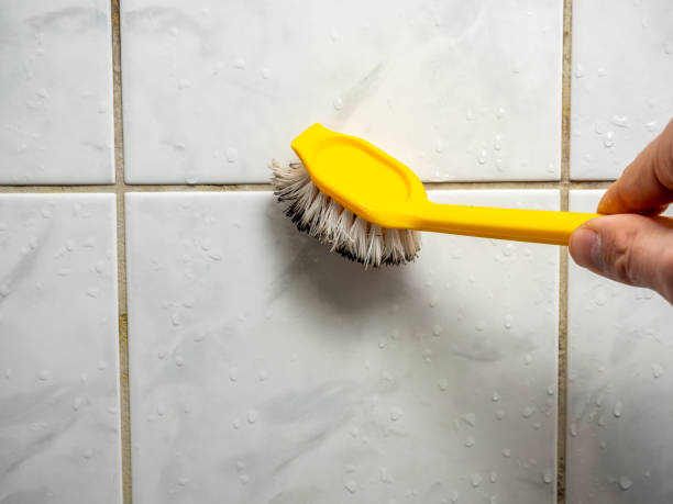 Best Fast Mold Removal  in The Hills, TX