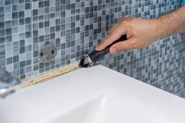 Best Certified Mold Removal  in The Hills, TX
