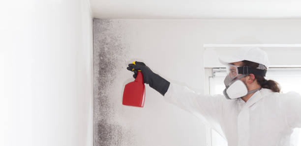 Best Water Damage Restoration  in The Hills, TX