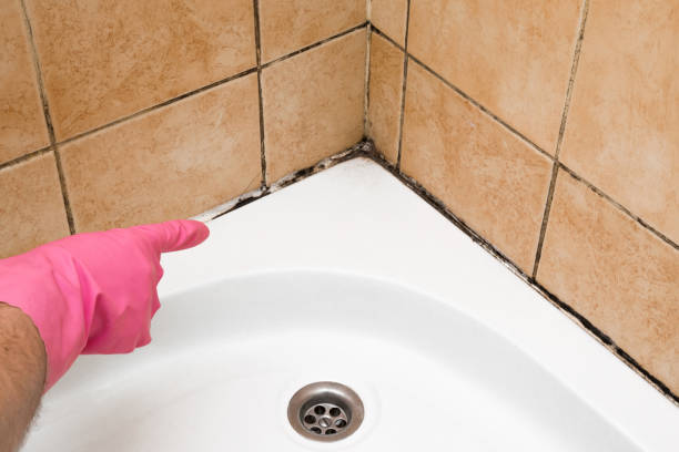 Best Crawl Space Mold Removal  in The Hills, TX